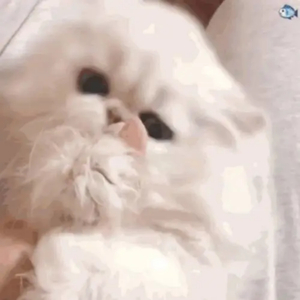 护士大乳出奶水
