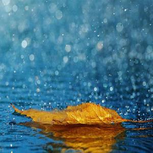 护士大乳出奶水
